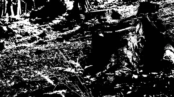 Illüstrasyon Ormandaki Ağacın Karanlık Silüeti — Stok fotoğraf