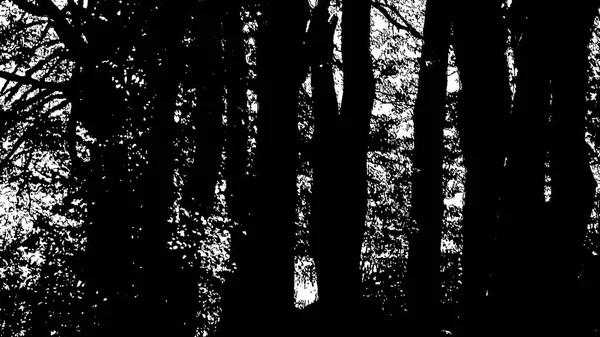 Ілюстрація Темна Силует Дерева Лісі — стокове фото