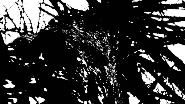 Illustration Dark Silhouette Tree Wood Black Whit — Stock Photo, Image