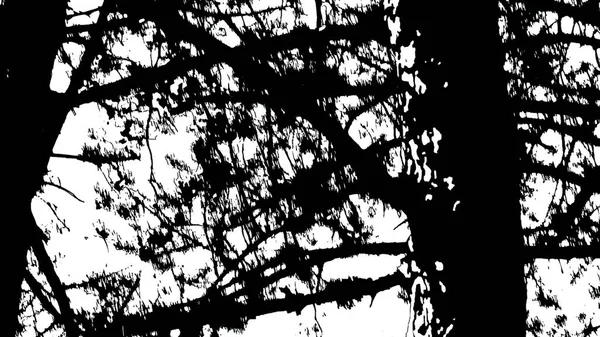 Illustration Mörk Siluett Träd Trädet Svart Vitt — Stockfoto