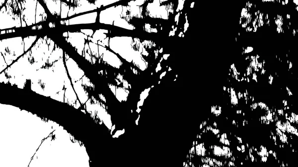 Illustration Mörk Siluett Träd Trädet Svart Vitt — Stockfoto