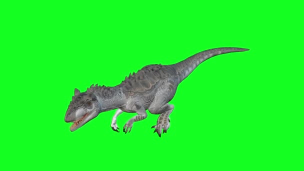 アニメーション アロサウルスは緑の画面の背景を歩く 恐竜の世界 — ストック動画
