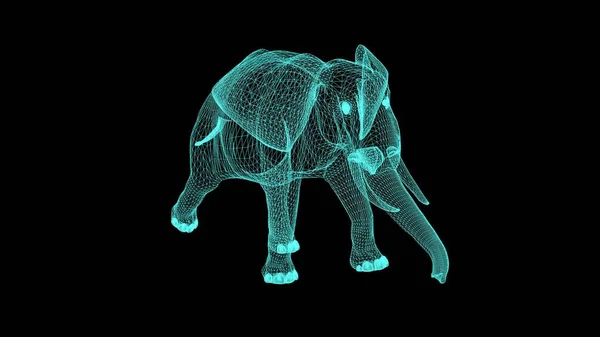 Иллюстрация Wireframe Elephant Black Screen — стоковое фото