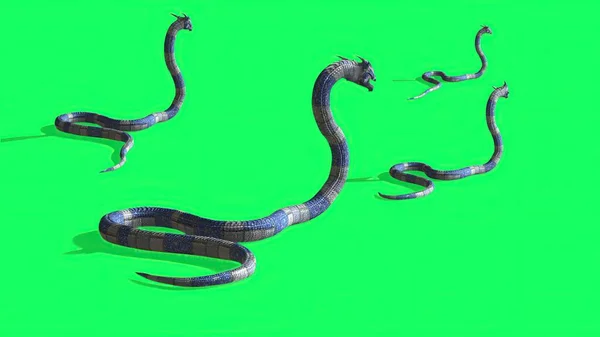 Illusztráció Kígyó Egy Zöld Képernyőn Háttér — Stock Fotó