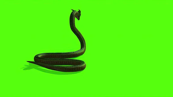 Illustrazione Serpente Uno Schermo Verde Sfondo — Foto Stock