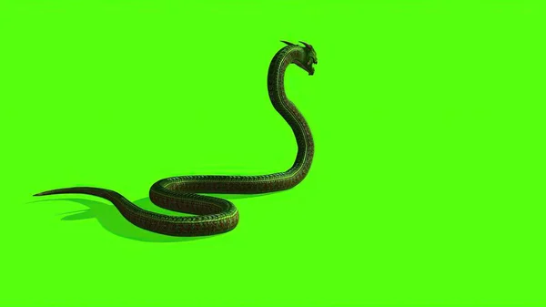 Illustration Snake Green Screen Background — Stock Photo, Image