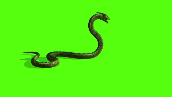 Ilustração Serpente Uma Tela Verde Fundo — Fotografia de Stock