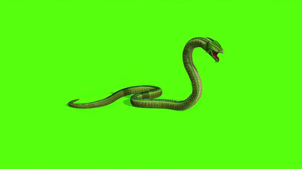 Illustration Snake Green Screen Background — Stock Photo, Image