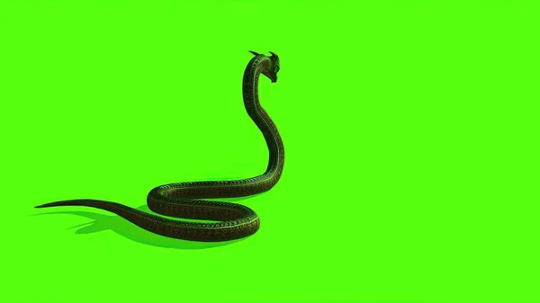 Ilustración Serpiente Una Pantalla Verde Fondo — Foto de Stock