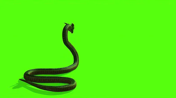 Иллюстрация Змея Зеленом Экране Фон — стоковое фото