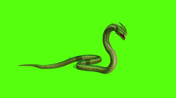 Ilustración Serpiente Una Pantalla Verde Fondo —  Fotos de Stock