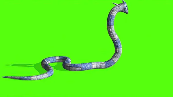 Ilustración Serpiente Una Pantalla Verde Fondo —  Fotos de Stock