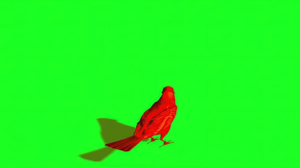 Illüstrasyon Kırmızı Serçenin Silüeti Yeşil Ekran — Stok fotoğraf