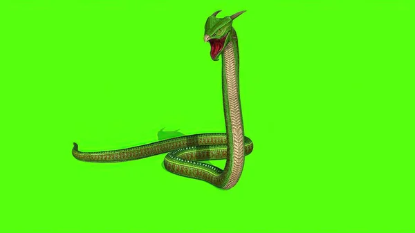 Ілюстрація Snake Python Green Screen Background — стокове фото