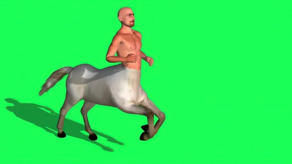 Illustration Male Centaur Half Horse Half Man Green Screen — Stock Photo, Image