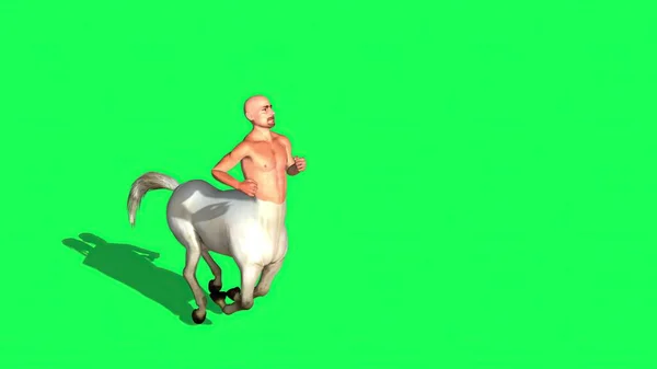 Ілюстрація Чоловічий Кентавр Наполовину Кінь Зеленому Екрані — стокове фото