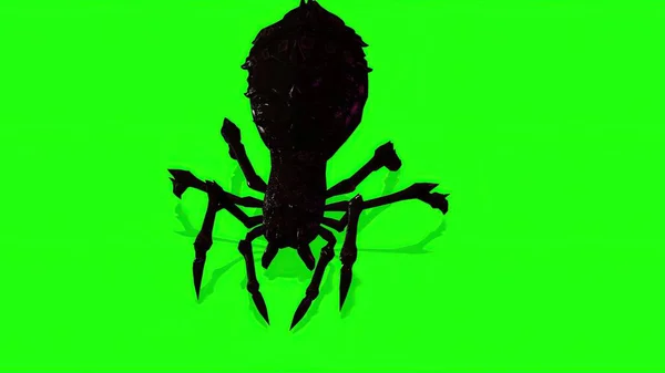 3D插图 绿色屏幕上的蜘蛛爬行 — 图库照片