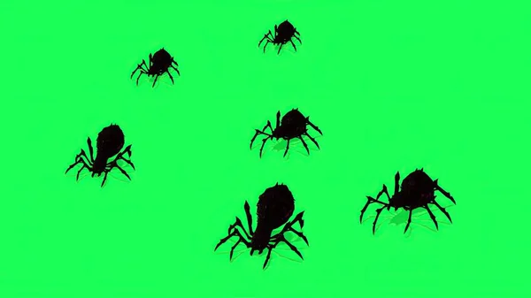 Ilustração Aranhas Tela Verde Assustador Rastejando — Fotografia de Stock