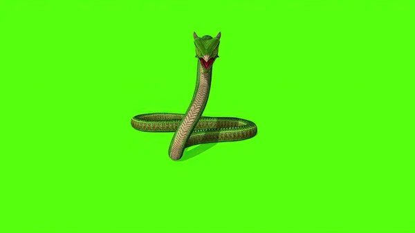 3Dイラスト Snake Python Green Screenの背景 — ストック写真