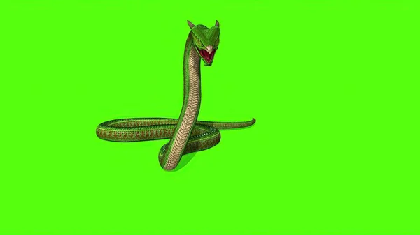 Ilustración Snake Python Sobre Fondo Pantalla Verde — Foto de Stock