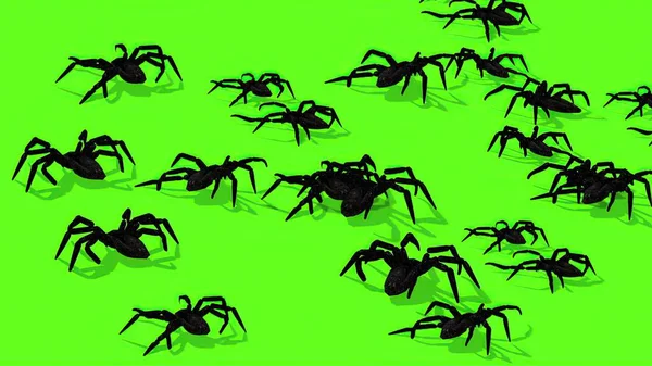 Ilustración Arañas Pantalla Verde Arrastrándose Espeluznante —  Fotos de Stock