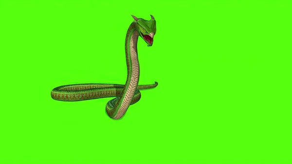 3D说明 蛇蟒蛇在绿色屏幕背景下 — 图库照片