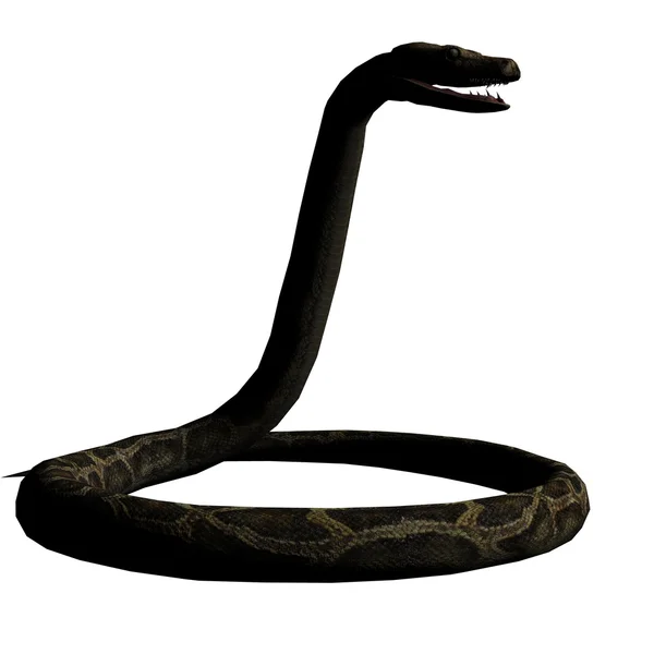 Snake silhouette — Stock Photo, Image