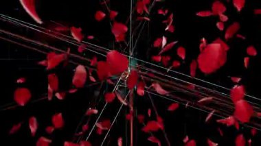 Kırmızı gül yaprakları zarif bir şekilde yüzer ve soyut dijital ızgaralarda çizgiler ve şekillerle birlikte döner.