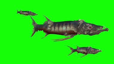 Keskin dişleri olan, yeşil ekranda yüzen yırtıcı fantezi canavar balığı sürüsü.