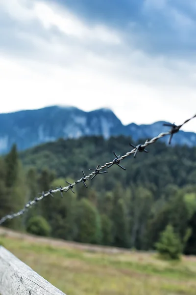 Closeup Wire Mountain Landscape Background — Stock Photo, Image