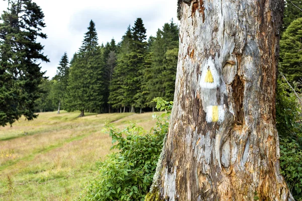 Turistické Značky Stromě Horách — Stock fotografie