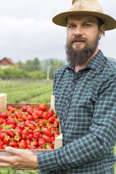 Retrato Joven Agricultor Sosteniendo Una Caja Llena Fresas Rojas Frescas — Foto de Stock