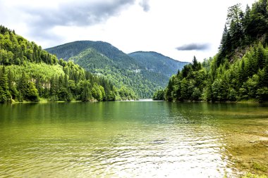 Göl Galbenu Romanya ile manzara 
