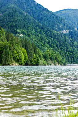 Göl Galbenu Romanya ile manzara 