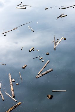 Gölde yüzen ağaçları kesmek