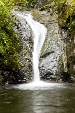 Karpatlar üzerinden şelale peyzaj