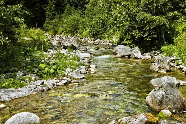 Eau courante d'une rivière de montagne — Photo