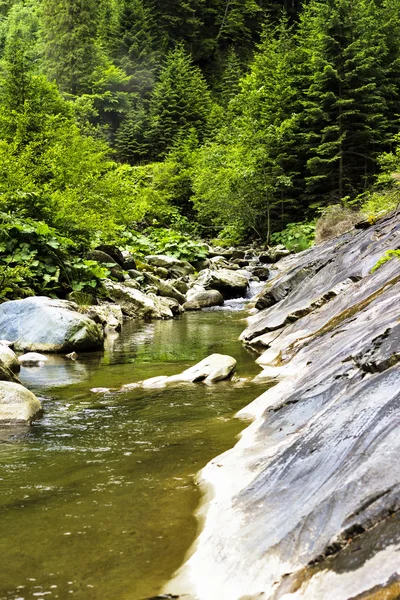 Поток воды из горной реки — стоковое фото