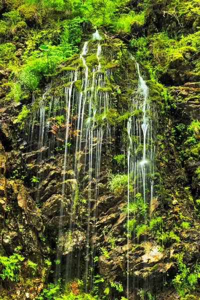 Ruisseau d'eau douce coulant vers le bas montagne — Photo