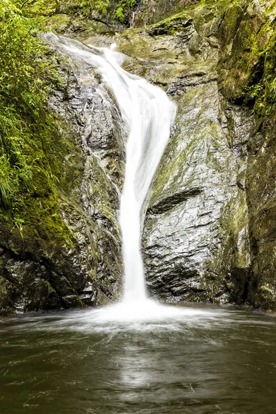 Landscape with waterfall — Stock Photo, Image