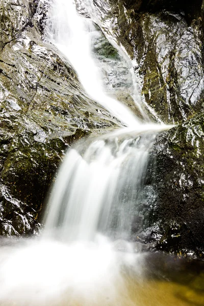 Paisagem com cachoeira de Cárpatos — Fotografia de Stock