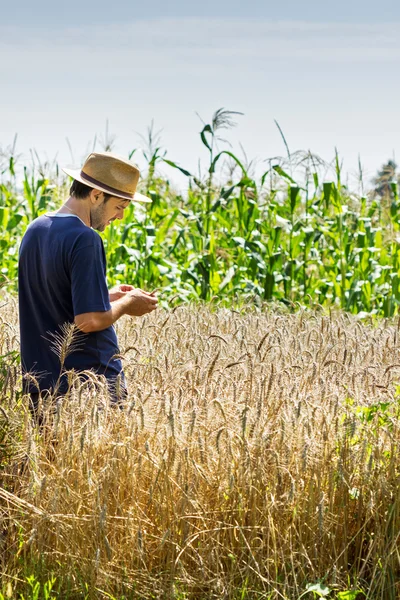 Young farmer standing in a wheat field — Stock Photo, Image