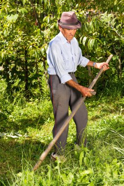 Yaşlı çiftçi çim biçmek için tırpan kullanarak 