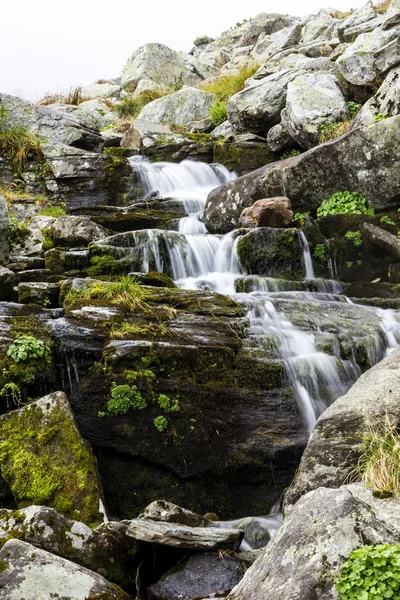 Corrente de água doce que desce a montanha — Fotografia de Stock