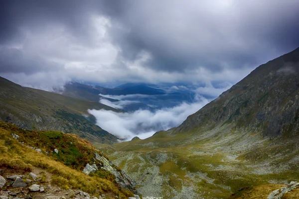 Beautiful summer landscape from Parang mountains — Stock Photo, Image