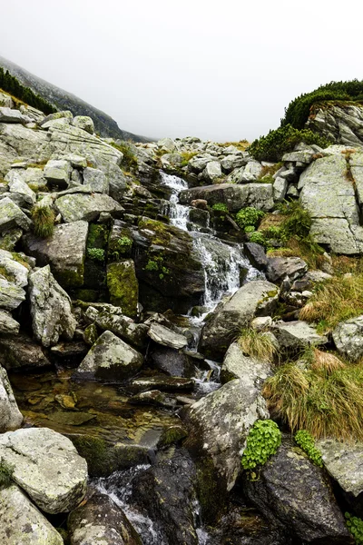 Ruisseau d'eau douce coulant vers le bas montagne — Photo