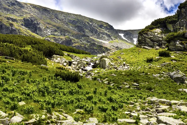 Landscape from Carpathian mountains — Stock Photo, Image