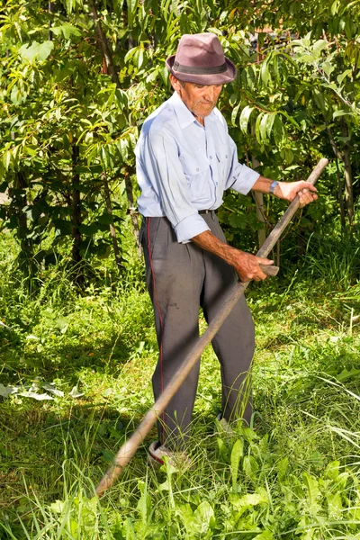 Viejo granjero usando guadaña para cortar la hierba — Foto de Stock