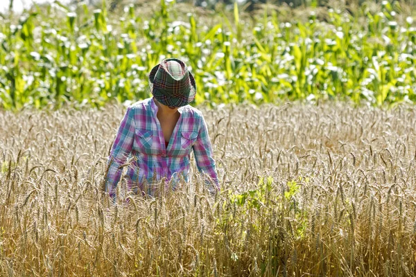 Young woman standing in a wheat field — Stock Photo, Image