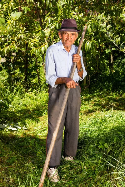 Old farmer using scythe to mow the grass — Stock Photo, Image